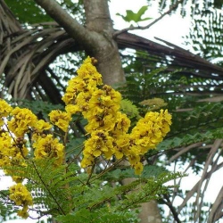 P1030015