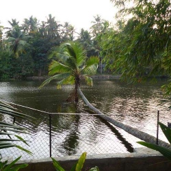 P1030010