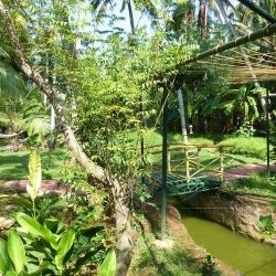P1030306